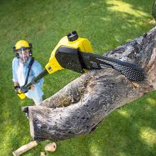 Lawn Pest Prevention in Dousman, WI